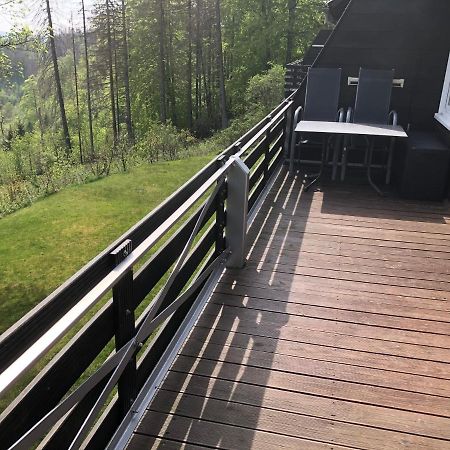 Fewo Nartura: Modern - Idyllisch - Stilvoll - Ruhig Sankt Andreasberg Εξωτερικό φωτογραφία